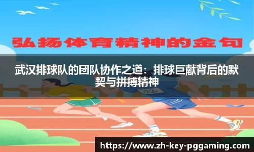 武汉排球队的团队协作之道：排球巨献背后的默契与拼搏精神